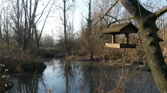 Parco Ducale - foto 5
